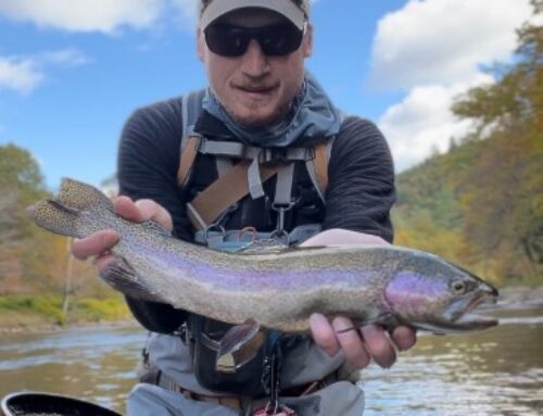 River Report 10/11/24